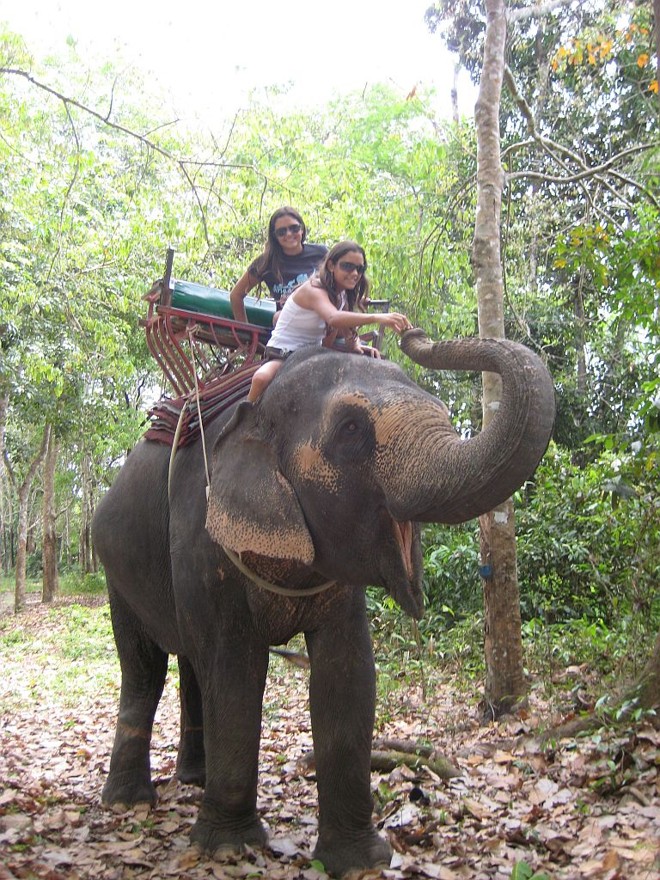 Lygia e Giovanna dando uma volta de elefante pela Ilha Phuket, na Tailândia |