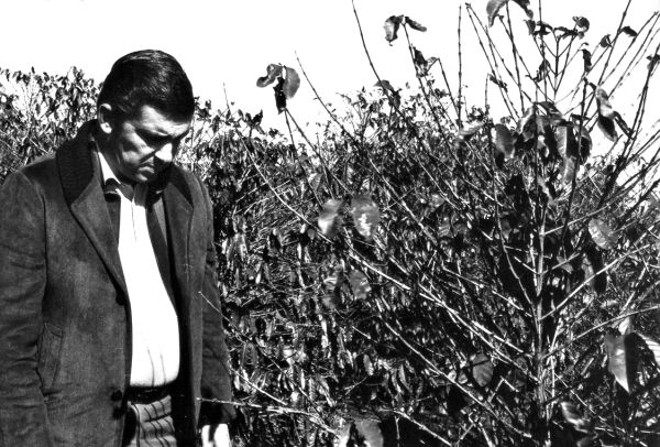 Jaime Canet sentiu na pele a Geada Negra, como governador e como produtor de café |