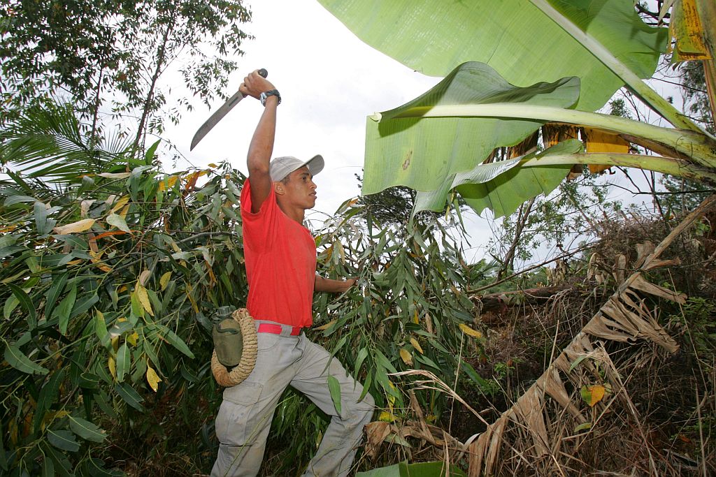 Cléderson no Morro do Baú: bicos como pintor e cortador de lenha | Daniel Castaellano/Gazeta do Povo