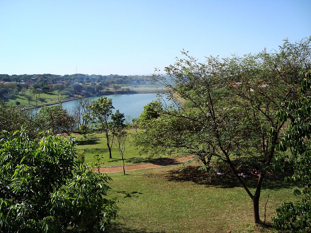 Área verde é a ideal para se viver se a intenção é ganhar menos peso: cientistas indicam que arborização está relacionada com os índices de massa corporal | Octávio Rossi / Gazeta do Povo