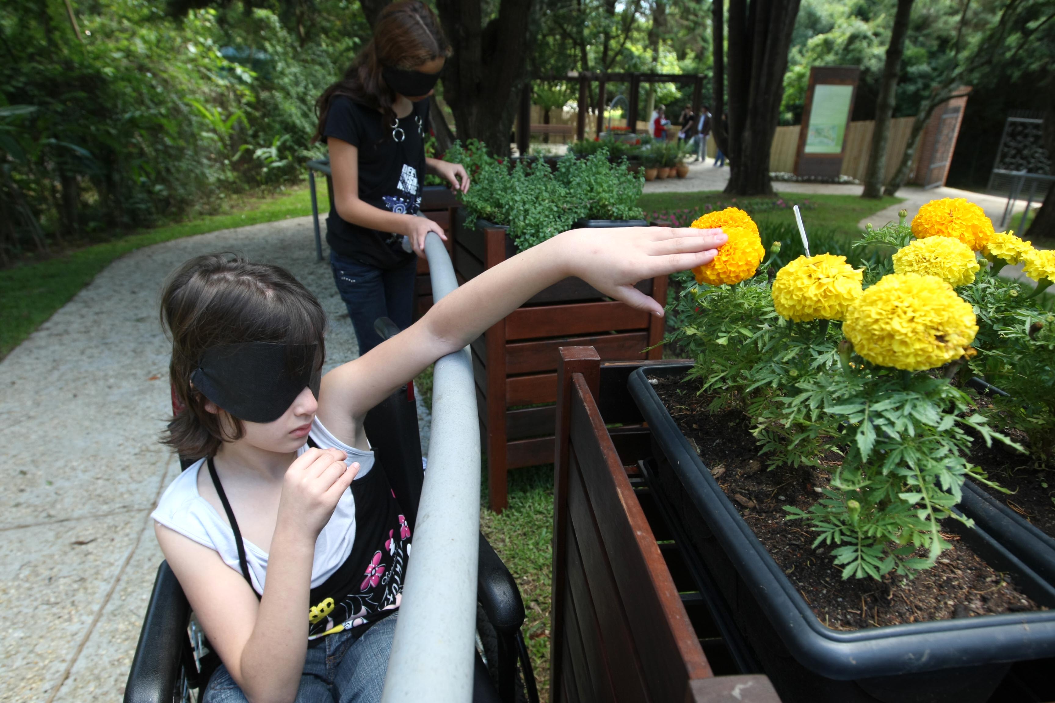 Visitantes percorrem o trecho de olhos vendados para tentar reconhecer as plantas | Maurilio Cheli/SMCS