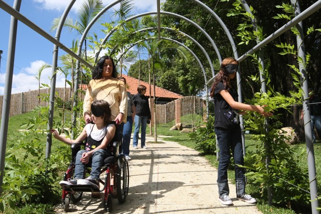 Mais de 70 espécies de plantas com cheiros, texturas, formatos e tamanhos diferentes preenchem o percurso de 200 metros do Jardim |