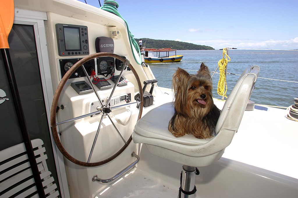 | Hedeson Alves/ Gazeta do Povo