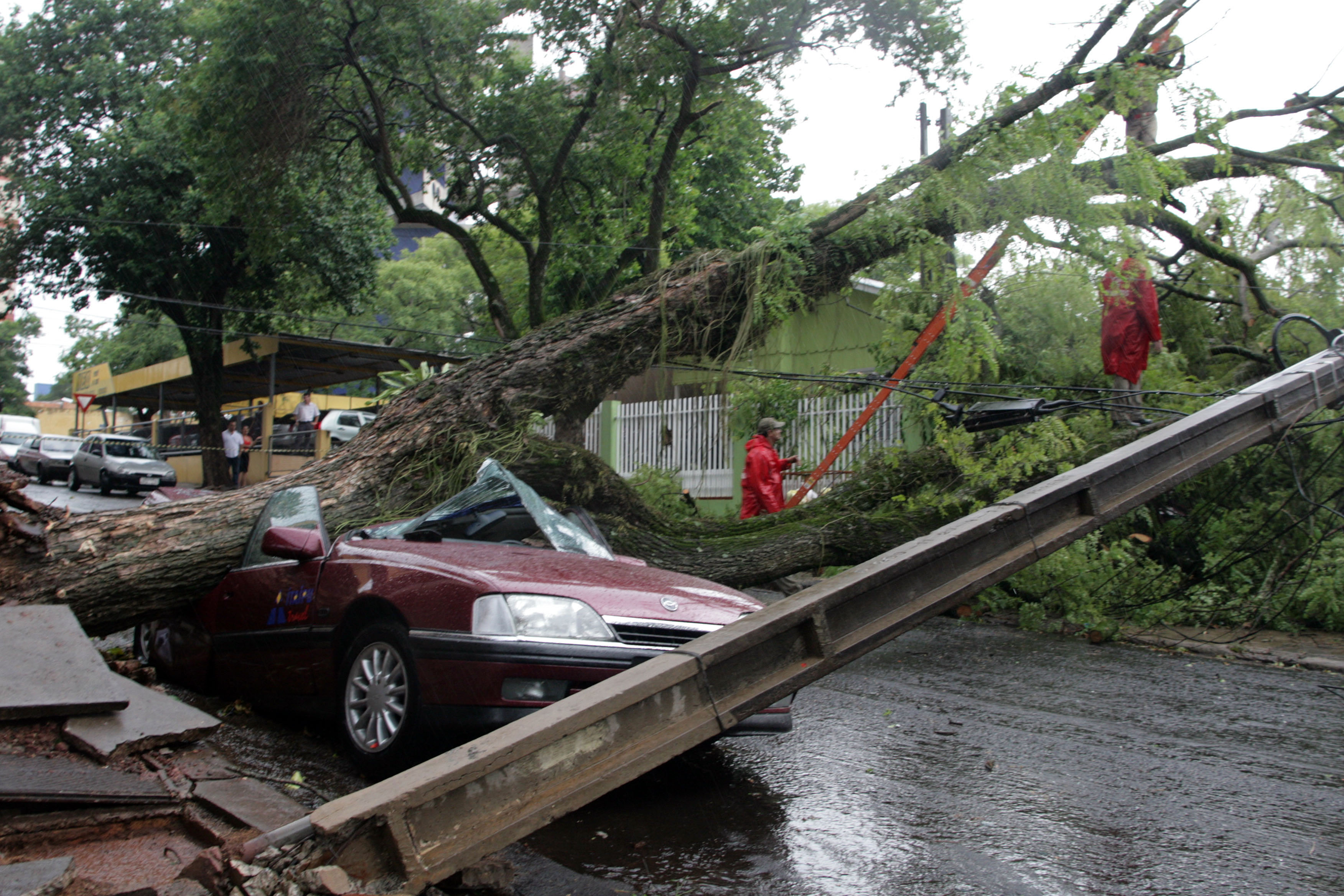 Ventos de até 76km/h derruba árvores em Foz do Iguaçu | Christian Rizzi/ Gazeta do Povo