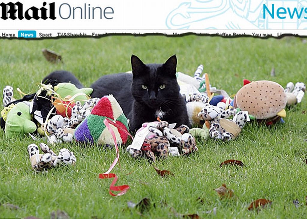 Frankie, cercado pelo "produto" de sua atividade gatuna | Reprodução/Dailymail.co.uk