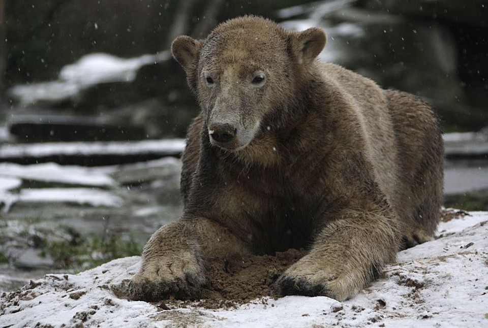 | Tobias Schwarz/Reuters