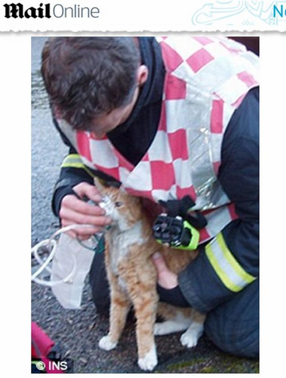 Máscara para bebês reanima gatos vítimas de incêndio Bombeiros usaram máscaras para bebês e conseguiram reanimar os gatos | Reprodução / Daily Mail