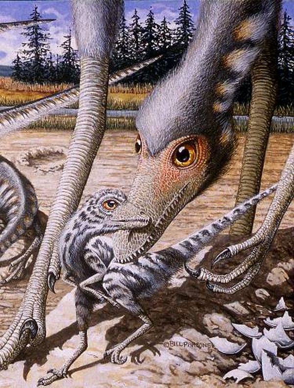 Nesta reconstrução, um macho de troodonte troca carícias com seu bebê | Bill Parsons/Divulgação