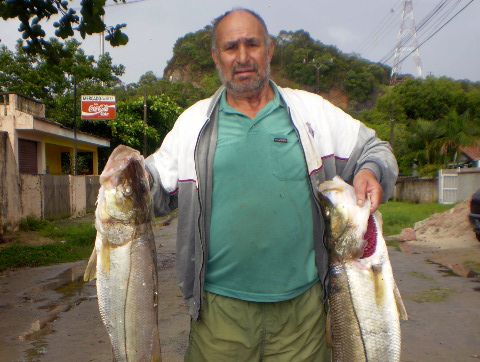 João Trajano Alves, um dos sete pescadores citados no livro Baía de Guaratuba: peixes e suas histórias | Instituto Guaju