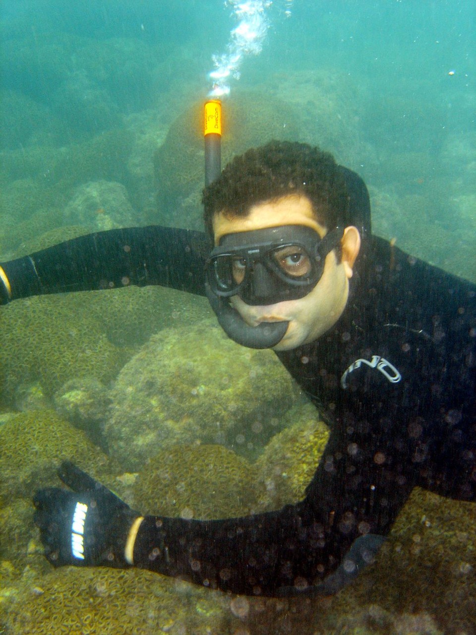 O empresário Marcelo Maluf pratica o snorkeling na Ilha de Itacolomi | Jonathan Campos/Gazeta do Povo