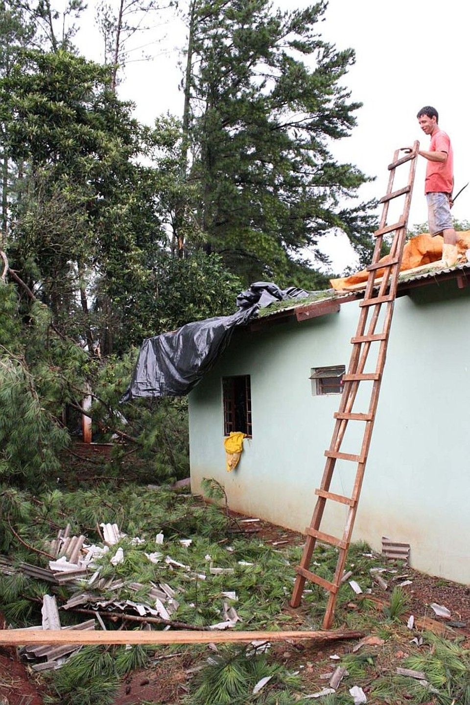 Árvores caem sobre casas em Francisco Beltrão, no Sudoeste | Deonir Spigosso