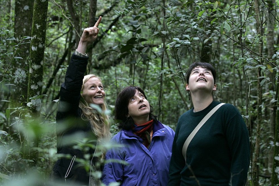 Morar no mato, sim. Por que não? Terezinha Vareschi entre as biólogas Marília Borgo (à esquerda) e Fabíola Machado,da SPVS: paixão pela natureza | Marcelo Elias/Gazeta do Povo