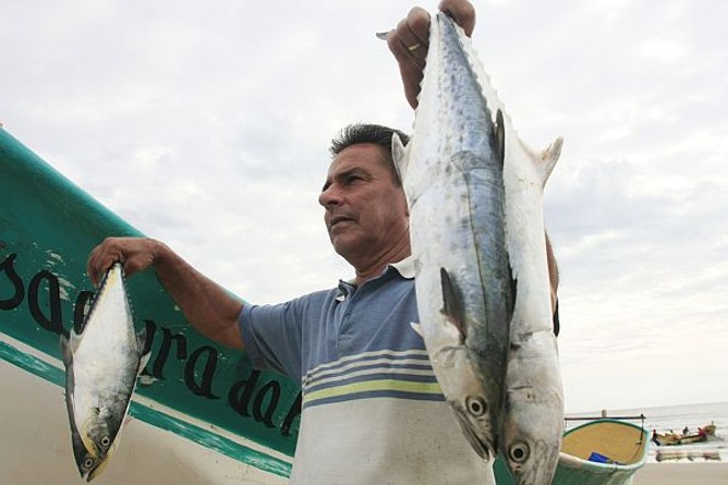 O profissional, com as cavalas pescadas em um dia de trabalho |
