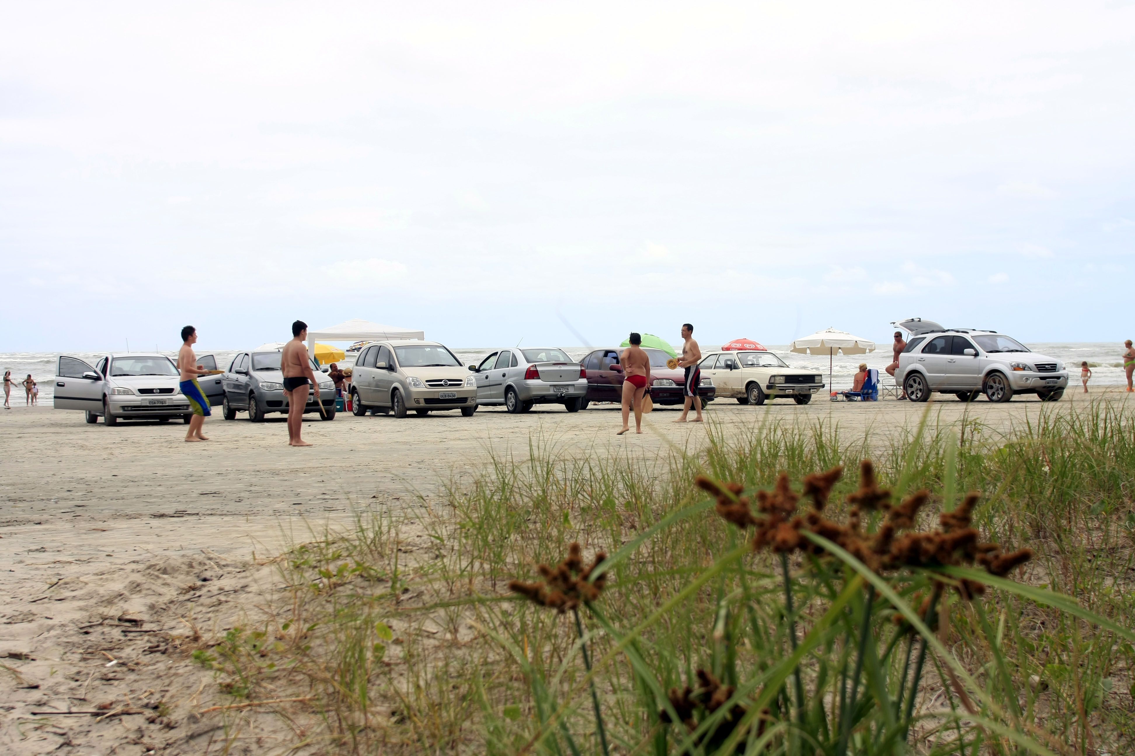 Sem sinalização, motoristas não são informados de que é proibido estacionar em área de restinga | Giuliano Gomes/Gazeta do Povo
