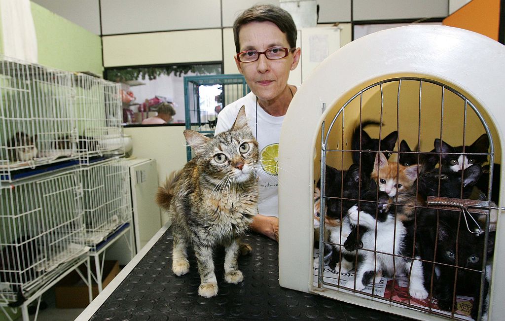 Volga Miriam da Silva, fundadora da Arca de Noé, e os gatinhos resgatados nas ruas do Litoral | Jonathan Campos/Gazeta do Povo