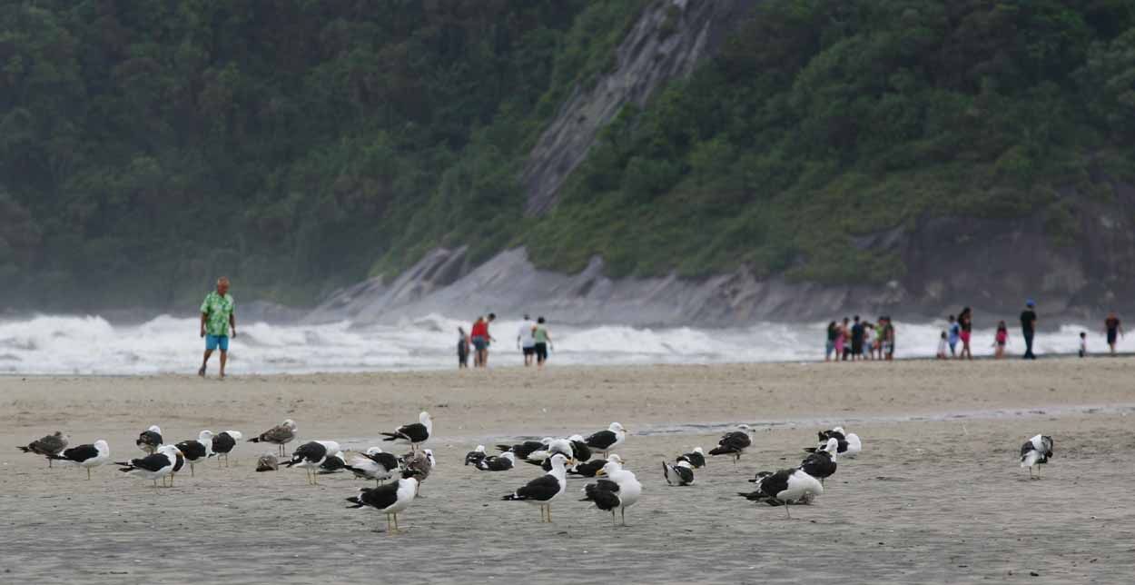 Previsão do Instituto Tecnológico Simepar é de que o tempo siga encoberto até quarta-feira (5) | Jonathan Campos/Gazeta do Povo
