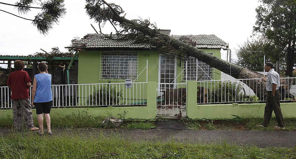 Todas as equipes do Corpo de Bombeiros trabalharam ontem na retirada de árvores, mas o trabalho só será concluído hoje. | Aniele Nascimento/Gazeta do Povo
