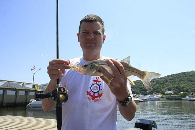 O robalo é o preferido do esportista: