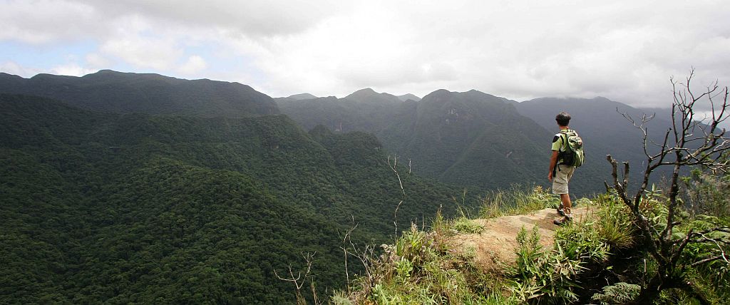 | Daniel Castellano/Gazeta do Povo