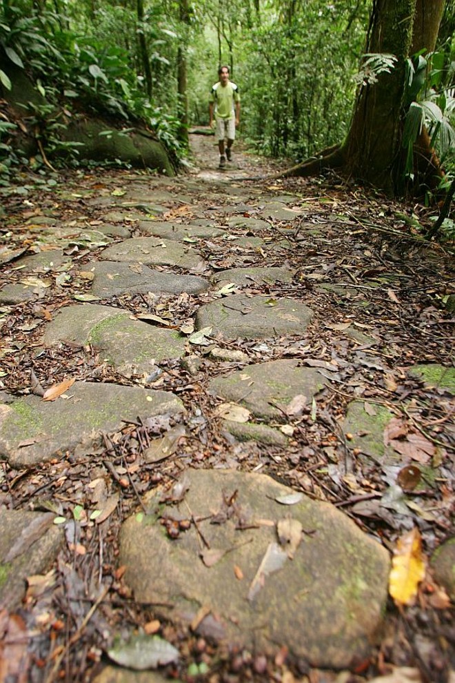 Caminho do Itupava no Parque Estadual do Marumbi, localizada na Serra do Mar, é um dos destinos mais procurados dos turistas nacionais e internacionais para estar em contato com a natureza |