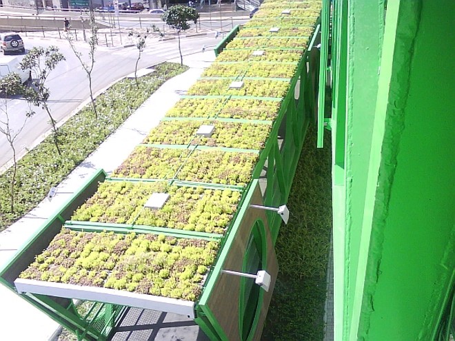 Passarela verde em São Paulo: telhado com plantas retém impurezas do ar e reduz calor. |
