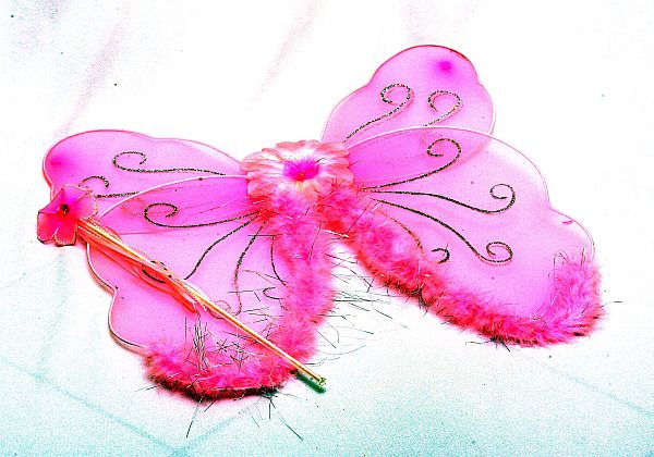 | Fotos: Valterci Santos/Gazeta do Povo