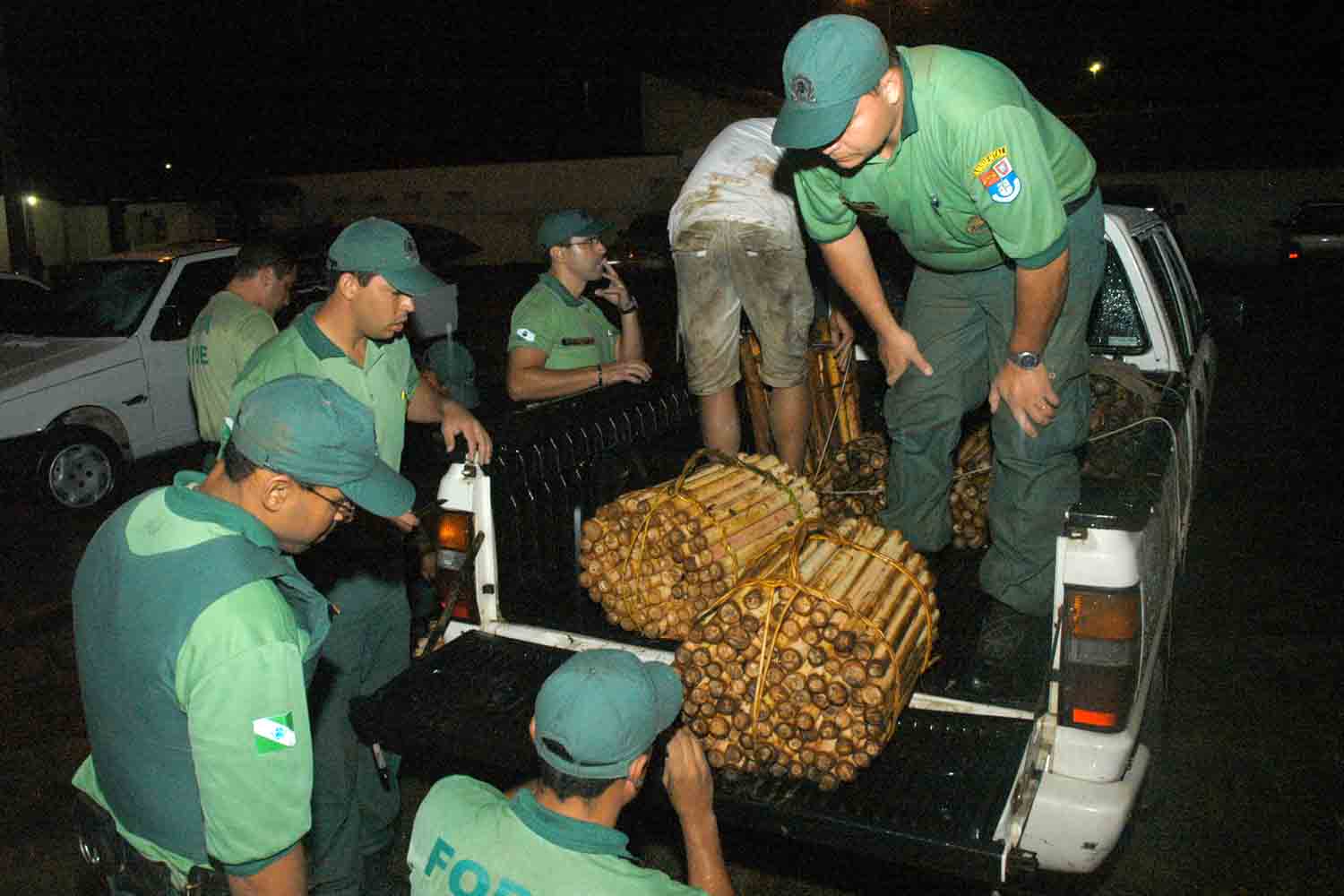 Palmito jussara leva 8 anos para ficar adulto, mas estava sendo cortado com 4 anos | Roberto Corradini/SECS