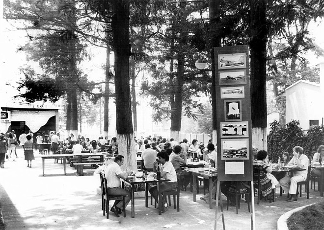 Bosque da Churrascaria Cruzeiro |