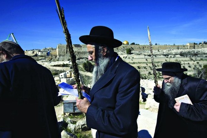Rabinos ultra-ortodoxos fizeram nesta semana orações por chuva na tumba do rabino Shalom Sarabi, no Monte das Oliveiras, em Jerusalém | 