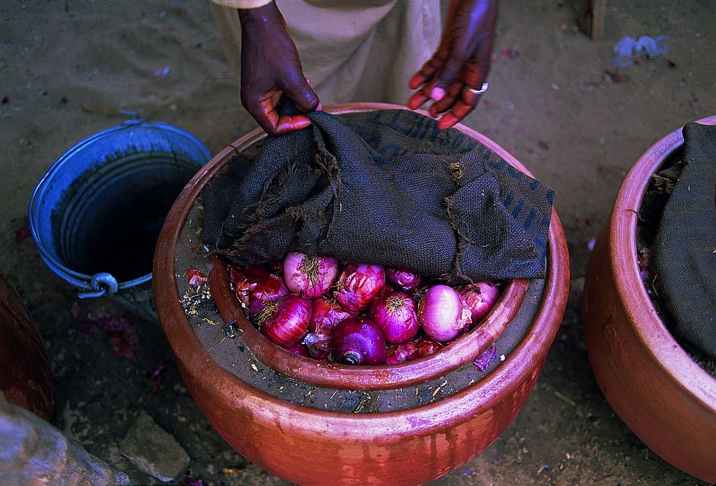 Refrigerador de barro permite armazenar parte da produção | Tomas Bertels