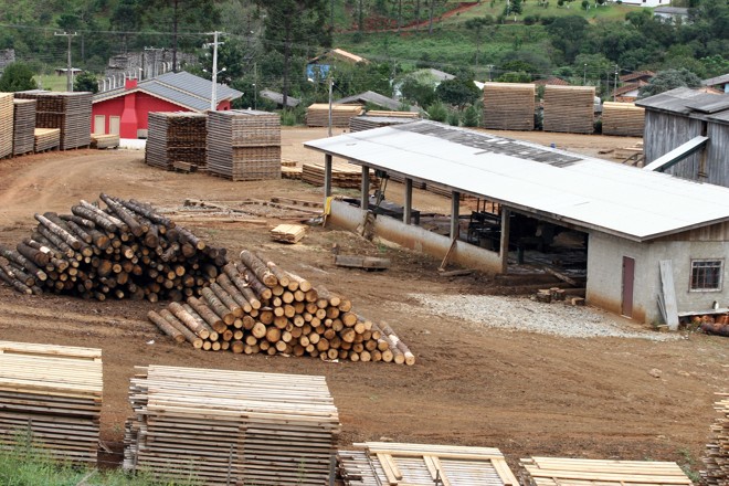 Proprietário de uma madeireira, o prefeito de General Carneiro, Ivanor Dacheri, já foi multado pelo Ibama em R$ 560 mil. | 