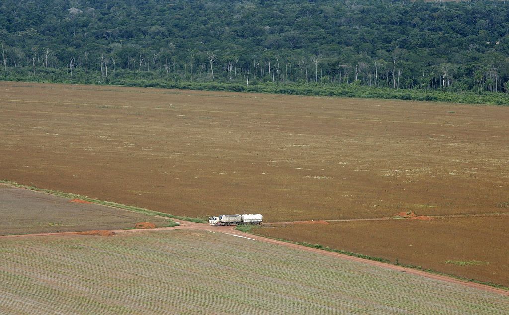 Área devastada de floresta amazônica em Mato Grosso: estado tem municípios entre os campeões de desmatamento | Paulo Whitaker/Reuters