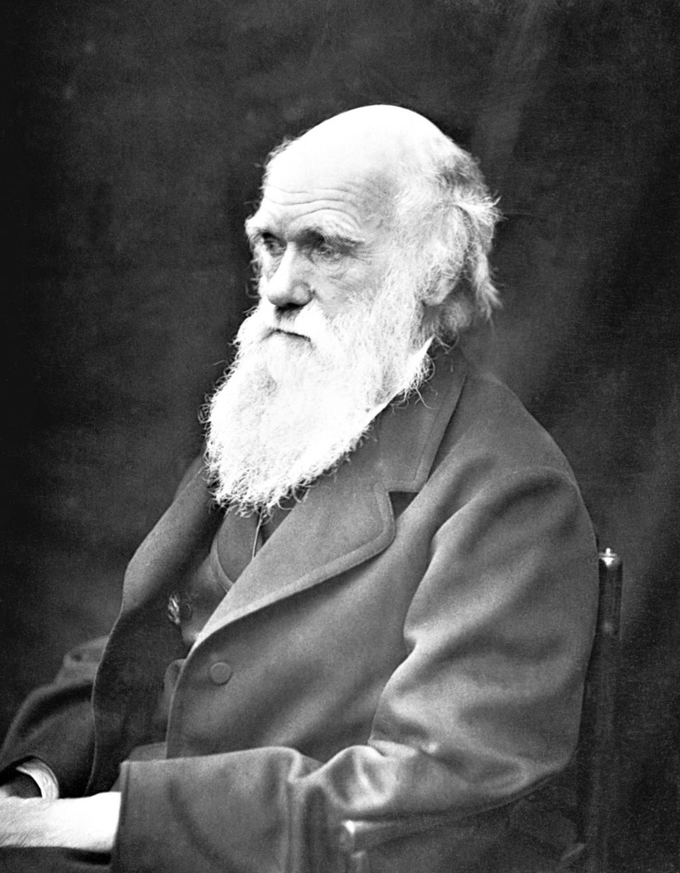 A obra de Charles Darwin mudou a maneira de compreender a humanidade | Divulgação