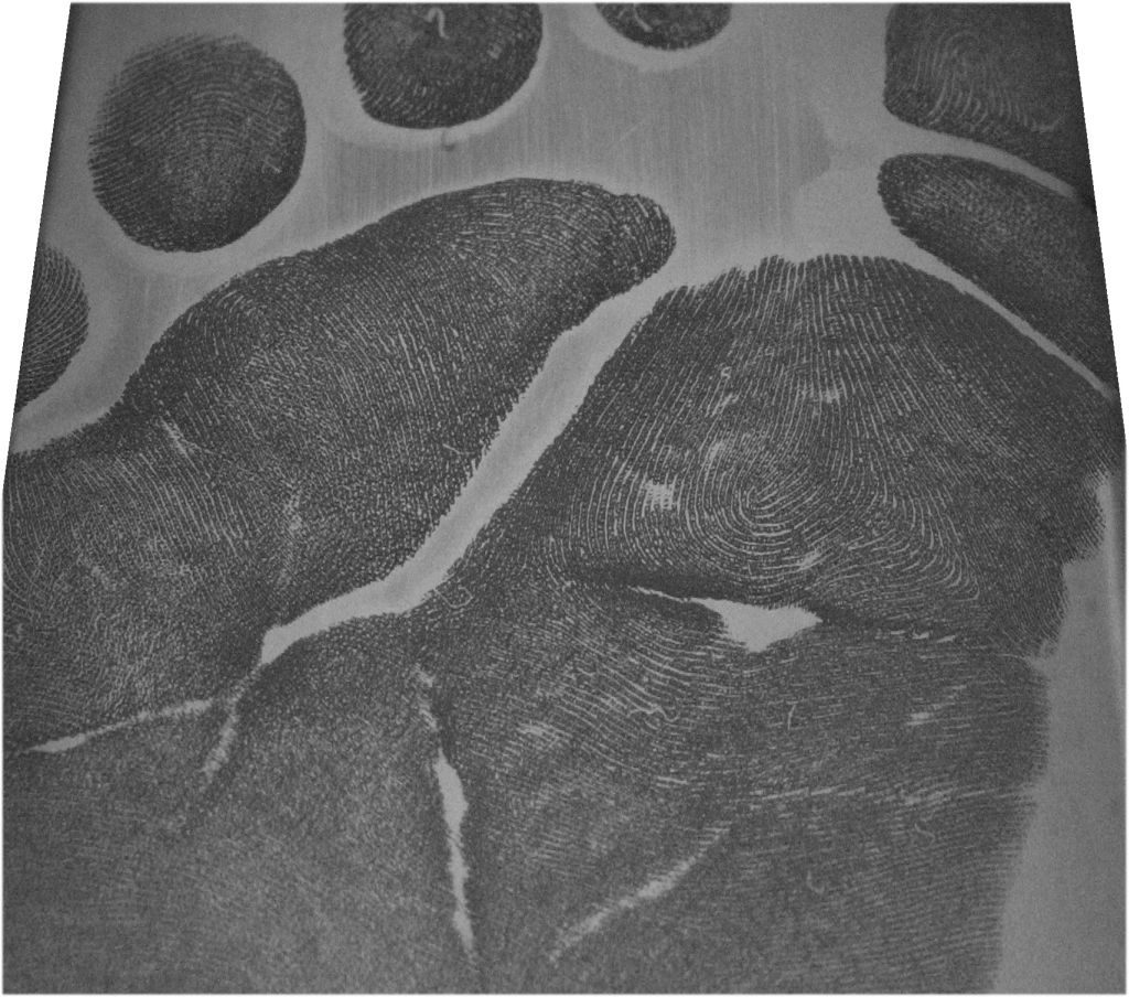 Com o novo método, 81% das imagens das mãos de bebês saíram com qualidade, contra apenas 34% das impressões dos pés | Daniel Weingertner