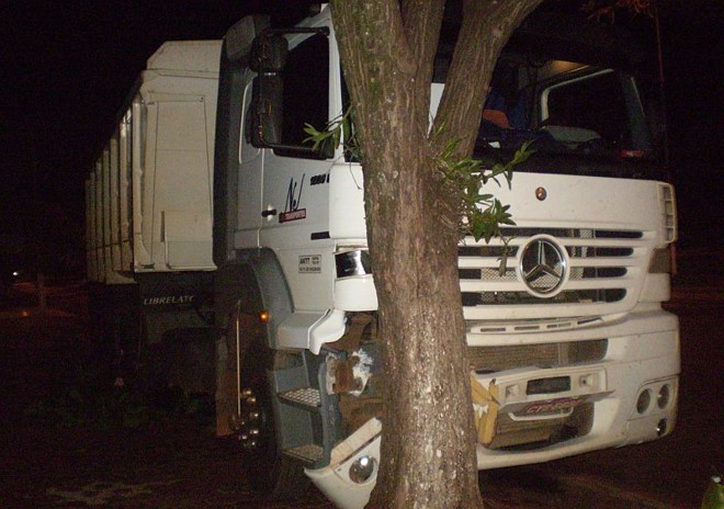 Em Marechal Cândido Rondon, caminhão para em árvore após motorista fugir pulando do veículo em movimento | 