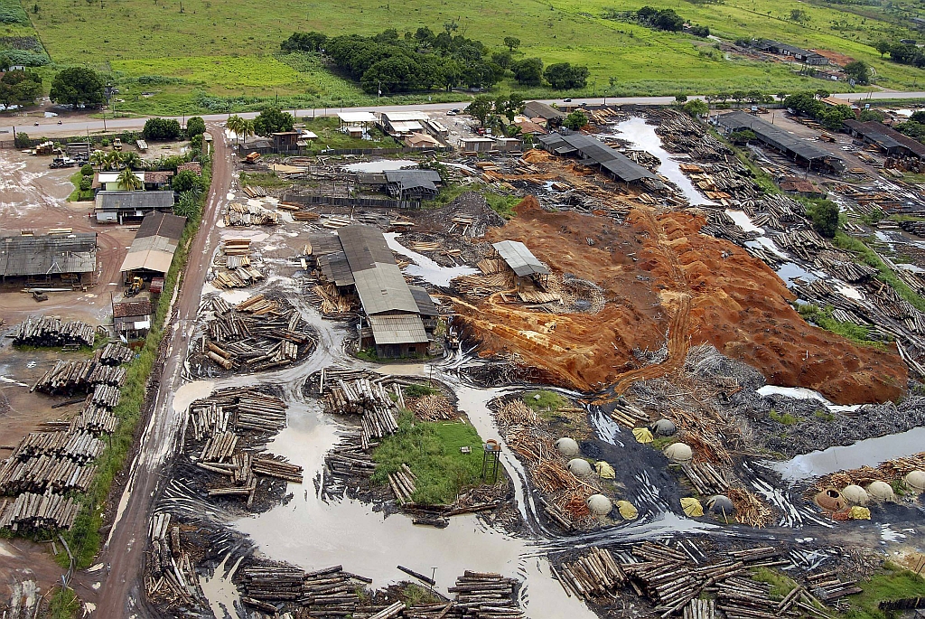 FAO teme que manejo sustentável seja substituído por exploração ilegal da madeira, como em Tailândia, no Pará | Paulo Santos/Reuters