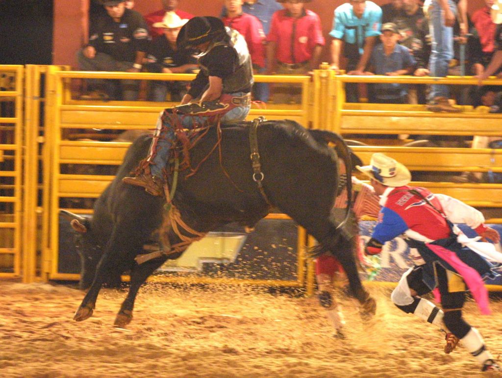 Shows sertanejos, bailes country e lojas com roupas e acessórios típicos fazem parte da programação que espera os visititantes | Arquivo/Gazeta do Povo