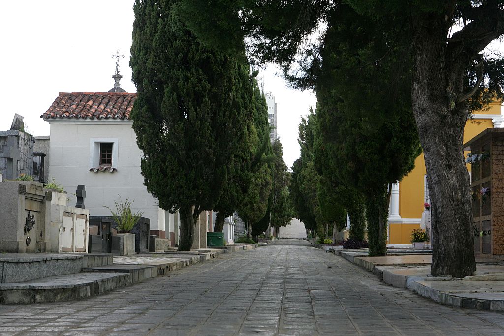 Cemitério Municipal, em Curitiba: quando o enterro ocorre na capital, empresas não podem disputar corpos. Na região metropolitana, porém, o agenciamento continua existindo | Ivonaldo Alexandre/Gazeta do Povo