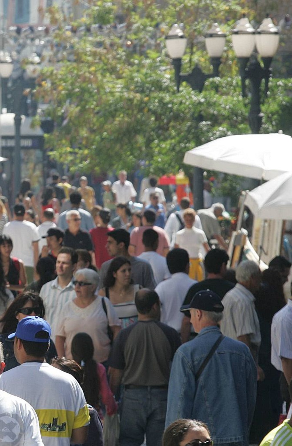 3.780 habitantes responderam à pesquisa na capital e em seis municípios da região metropolitana
