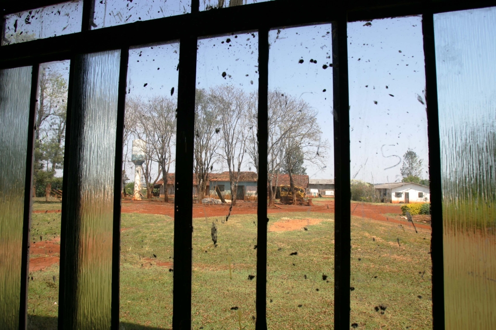 Uso social da terra: no assentamento Dorcelina Folador em Arapongas, Norte do Paraná, 93 famílias criam gado, produzem leite, café e bicho-da-seda | Daniel Castellano/Gazeta do Povo