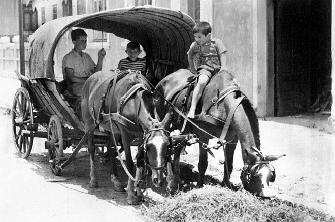 A piazada adorava brincar com uma carroça de colonos, ainda em 1950 |