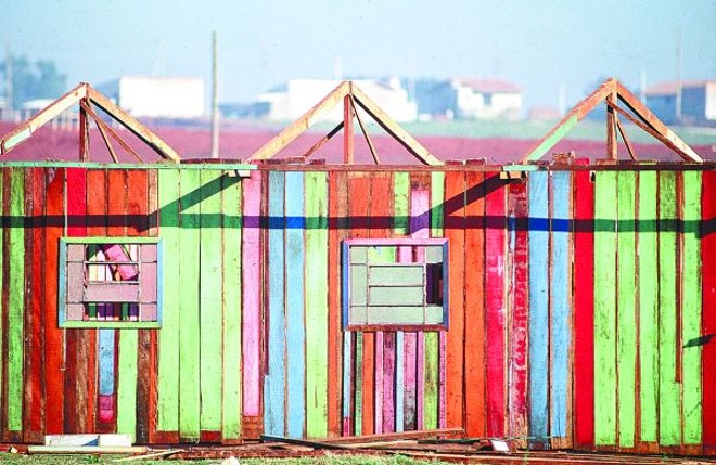 Nani Gois: Curitiba em cores e texturas inusitadas | 