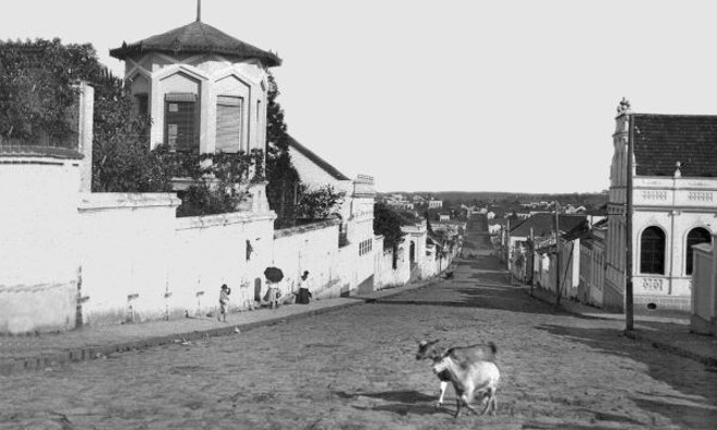 ... o das cabras gordas de 1905 | 