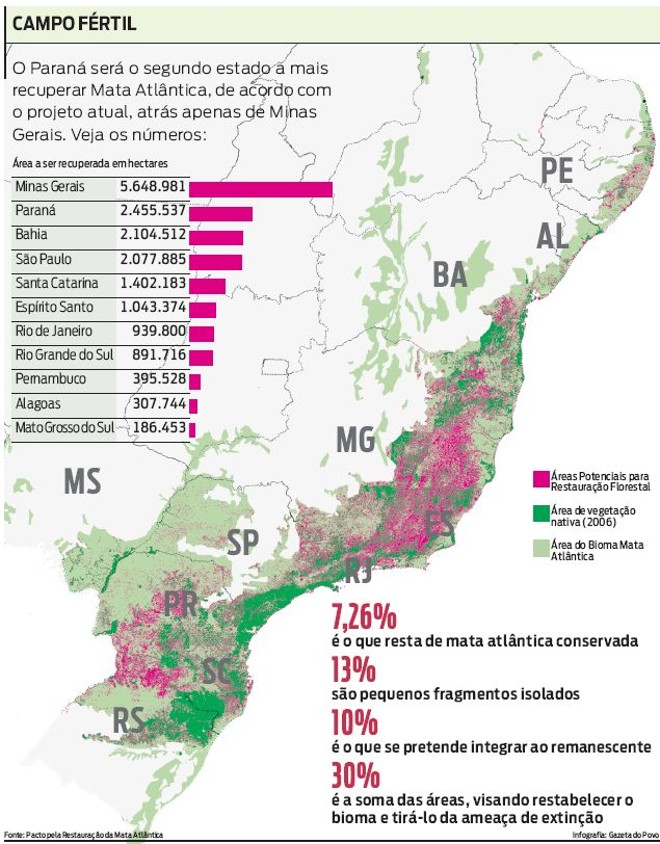 Veja os estados que mais devem recuperar a Mata Atlântica |