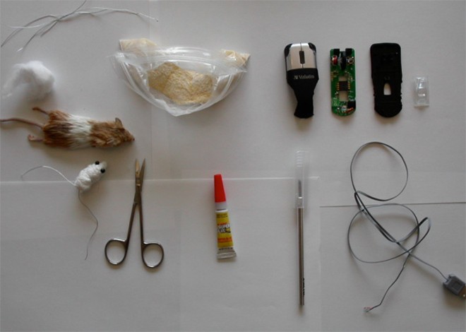 Projeto envolve técnicas de taxidermia para preparar o animal; modificações em um mouse padrão possibilitam a adaptação dos circuitos |