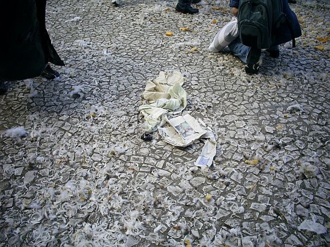 Depois da festa, chão da Praça fica coberto de penas e espumas | 