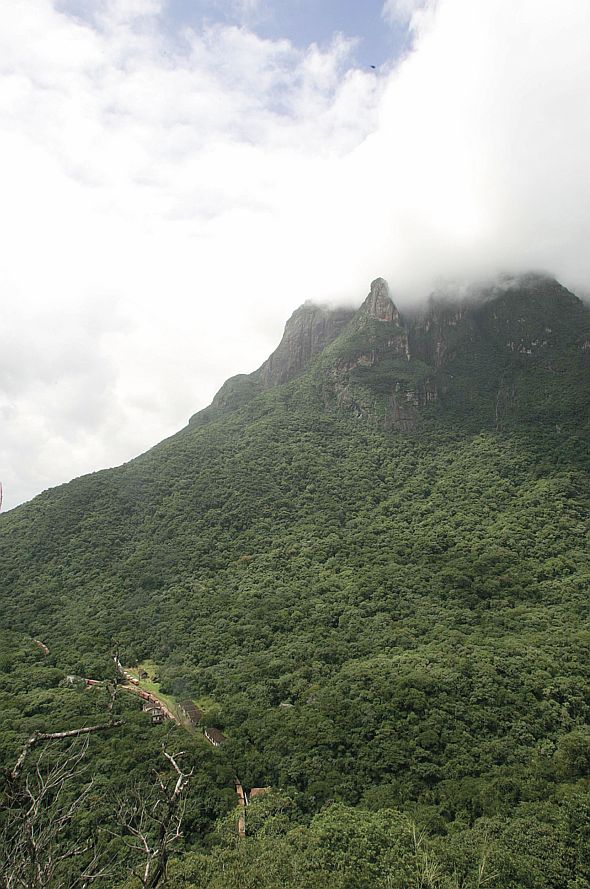 Serra do Mar: só 7% de mata conservada | Daniel Castellano/Gazeta do Povo