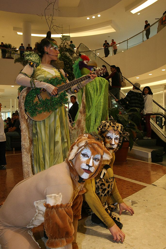 A primeira apresentação do grupo foi feita no Shopping Paladium | Pedro Serápio/Gazeta do Povo
