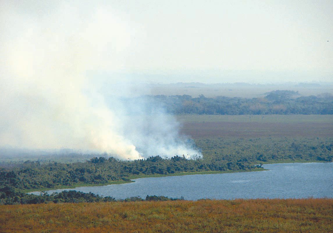 Ontem pela manhã, o fogo parecia extinto. Mas a cortina de fumaça reapareceu | Divulgação Parque Ilha Grande
