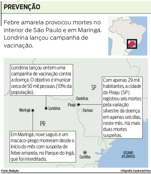 Febre amarela provocou mortes no interior de São Paulo e em Maringá. Confira o infográfico |